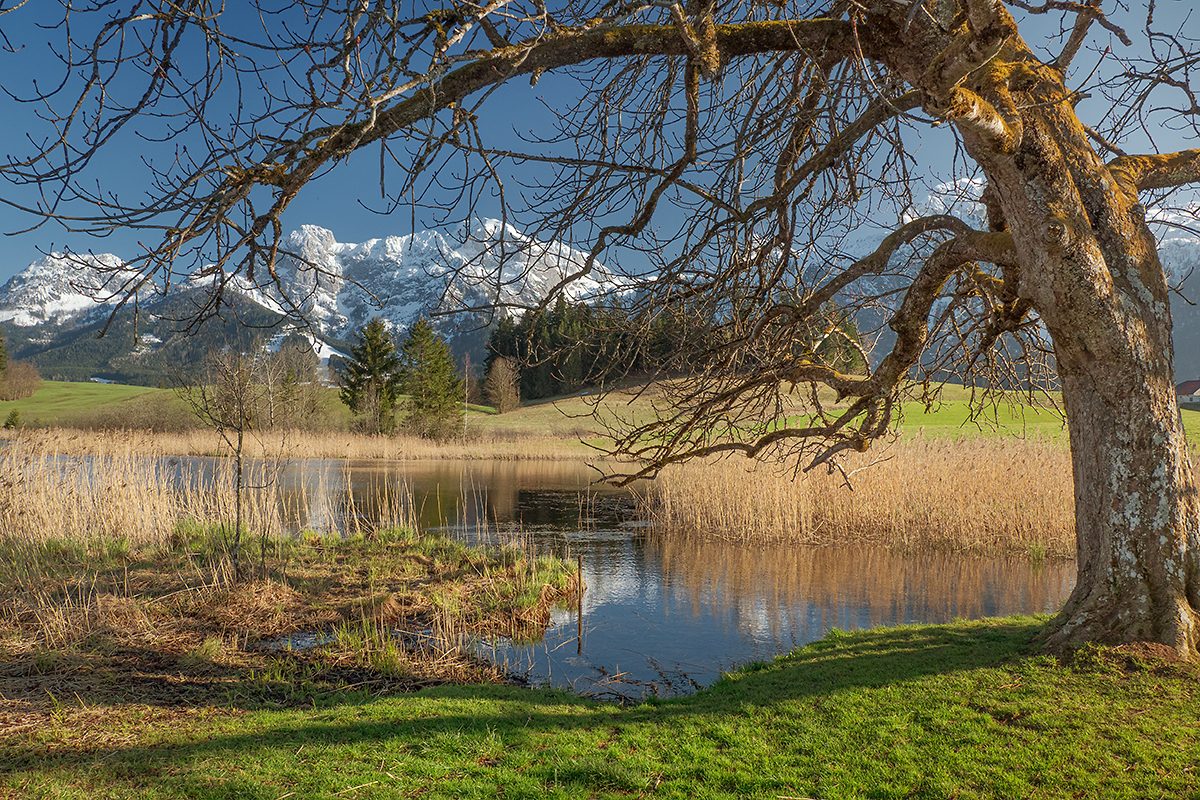 Der Egelsee im Frühjahr Wir schauen auf Salzburg
